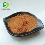 Te Seed Extract Te Saponin Powder