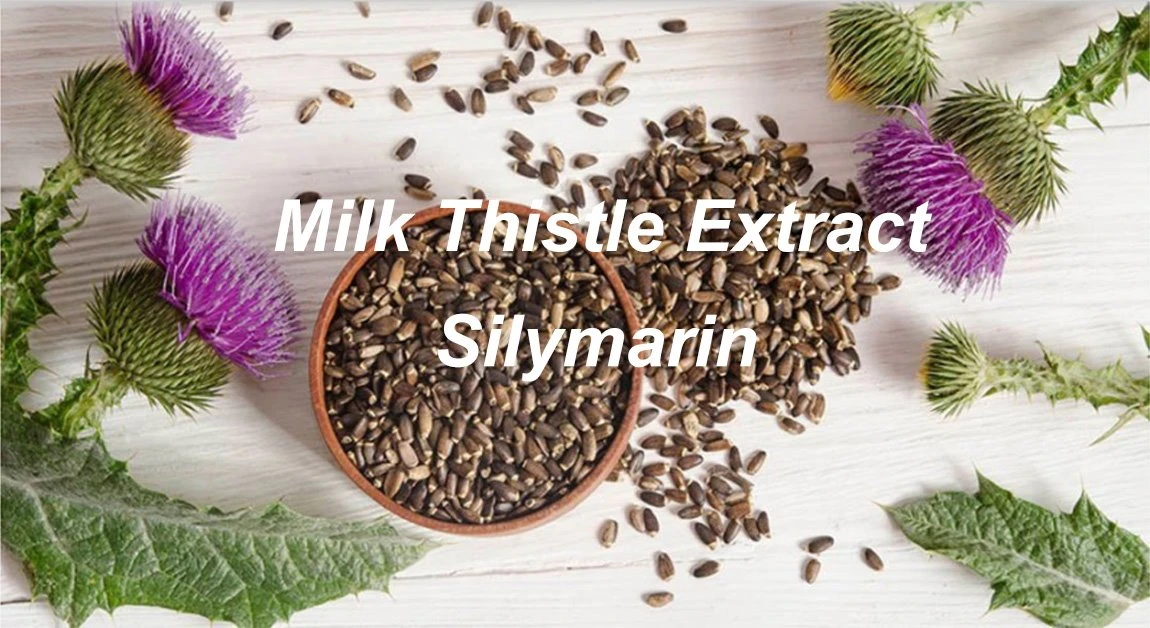 silymarin powder 5