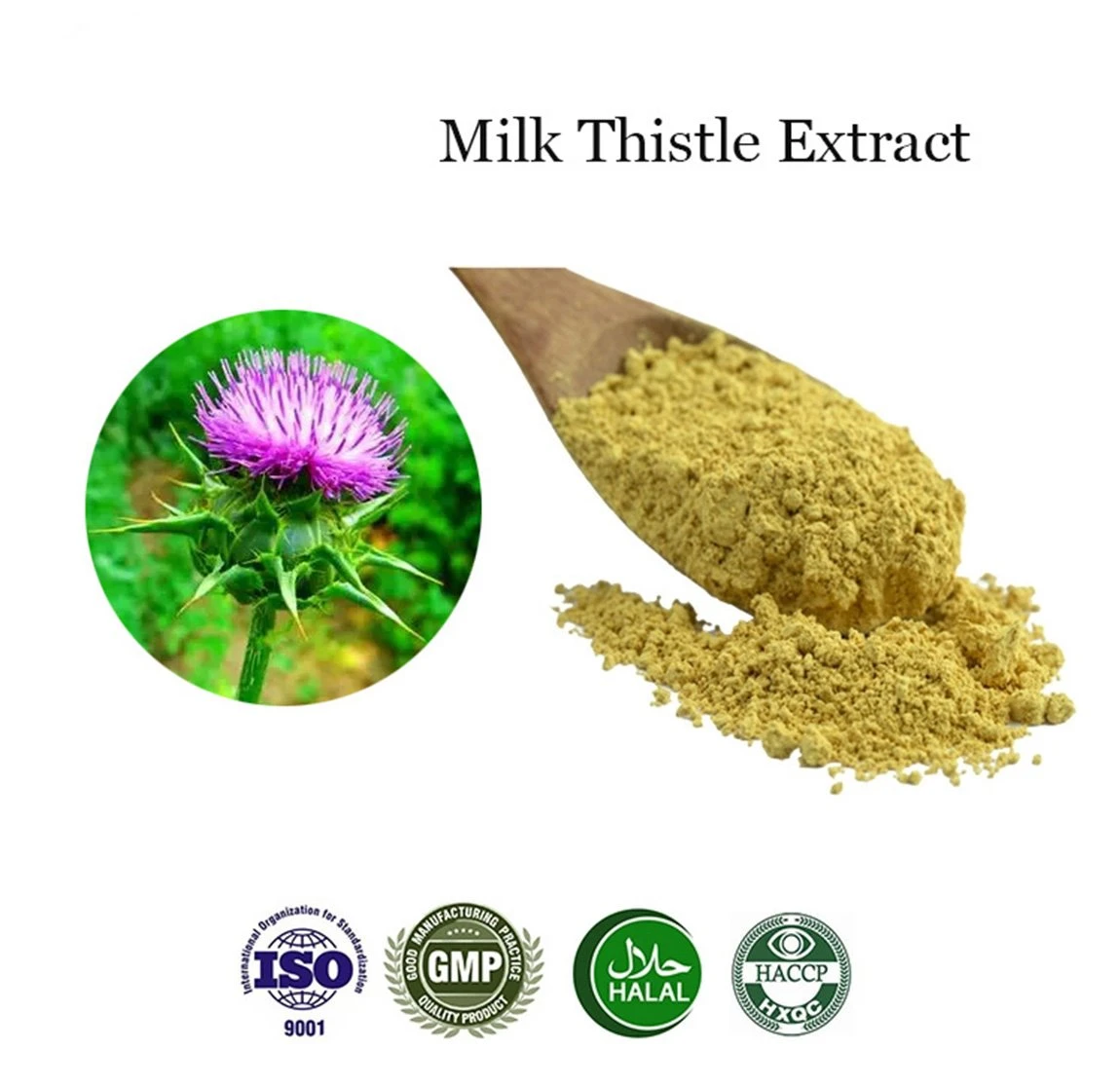 silymarin powder 1