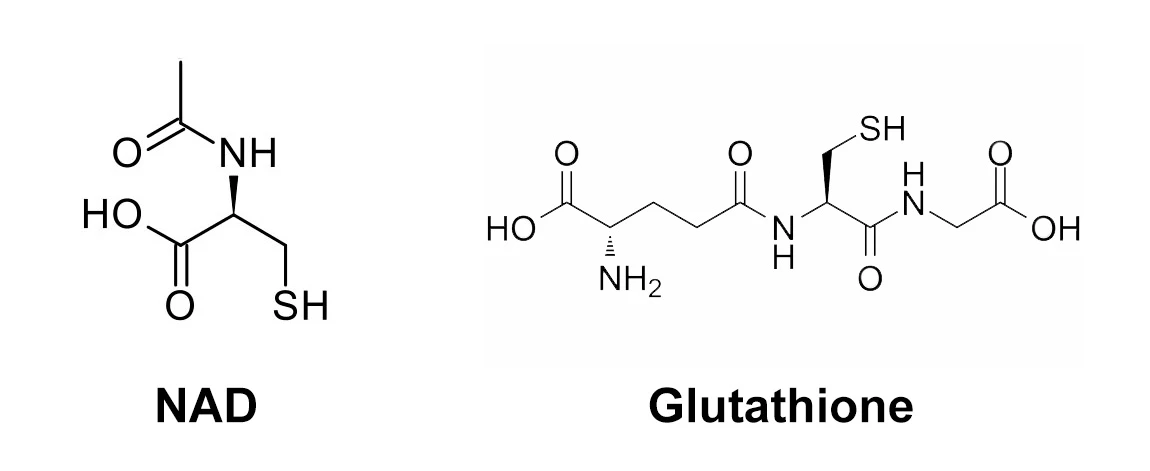 N-Acetyl-L-cysteine