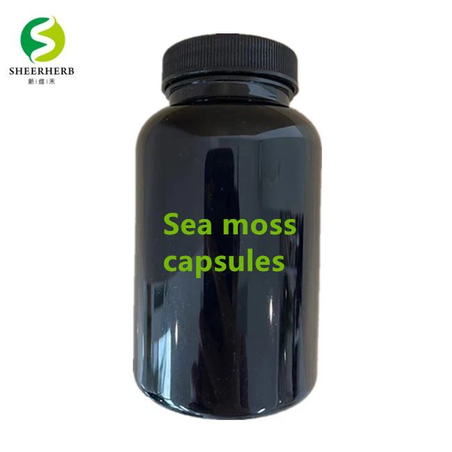 Private Label Oem Bladderwrack Sea Moss hylki