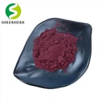 Arnebía Euchroma Root Extract
