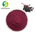 Elderberry Extract Duft