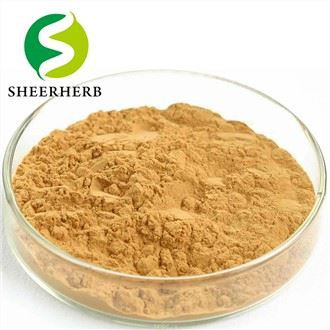 Ginkgo Biloba útdráttarduft