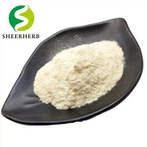 Royal Jelly Powder