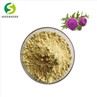 Milk Thistle Extract Silymarin