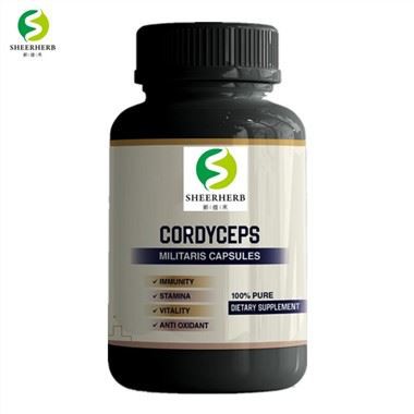 Logo Cordyceps Sinensis þykkni hylki Logo Cordyceps Sinensis hylki