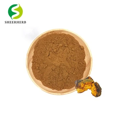 Chaga sveppir duft