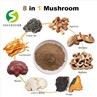 Turkey Tail Mushroom Extract