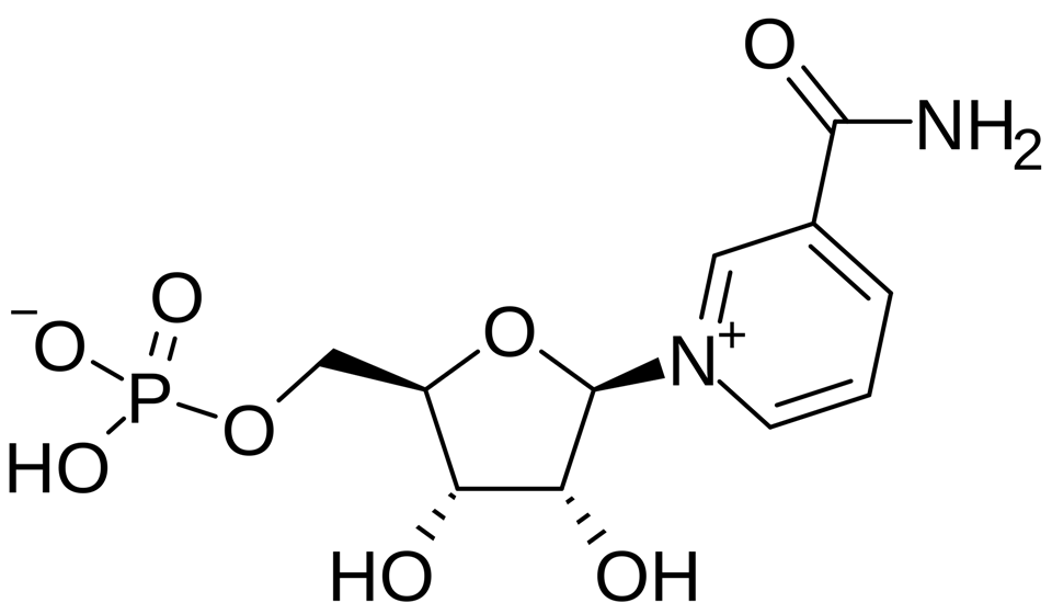 -Nicotinamide Mononucleotide CAS 1094-61-7